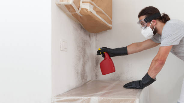 Professional Bathroom Mold Removal technician working in Sayville, NY