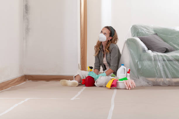 Reliable Bathroom Mold Removal contractor in Sayville, NY by WQB Mold Removal